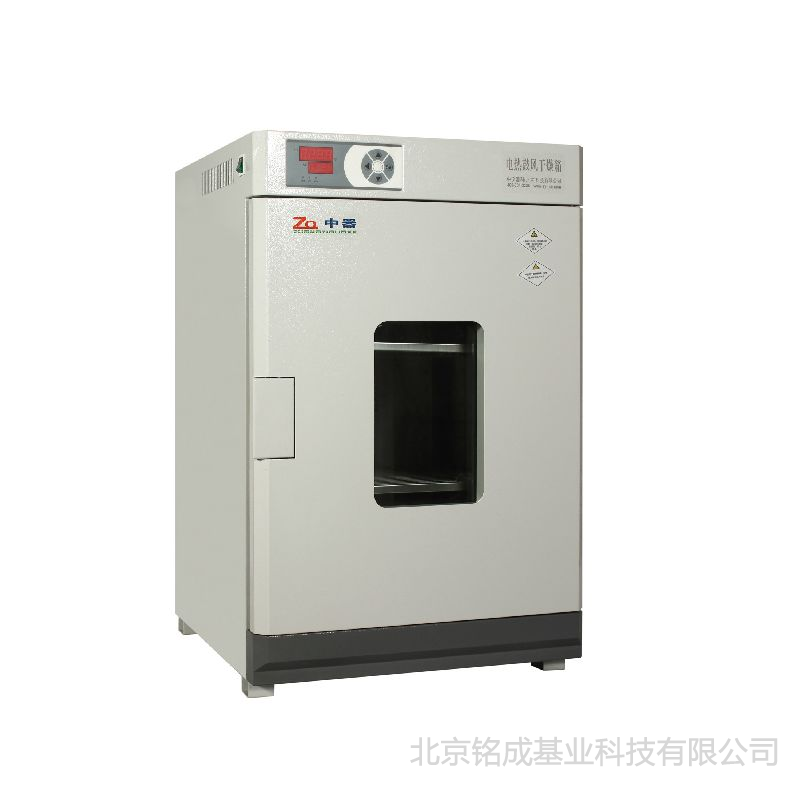数码仪表立式干燥箱(DHG-9240A)